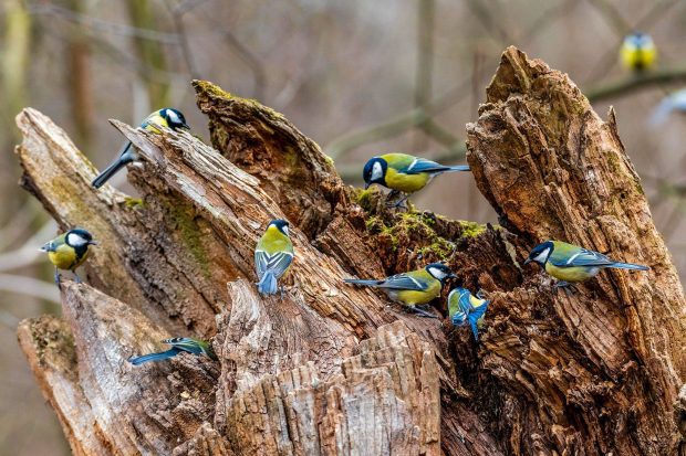 От искусства до науки. Лучшие образовательные программы для детей в Москве 7 03236b480f4396c1c6711174fbe6a8b2