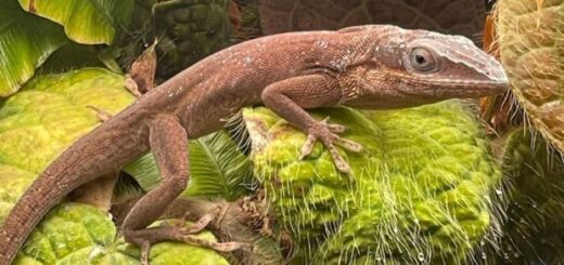 48c5b014df1f2512cc0aae1d172c6d7d