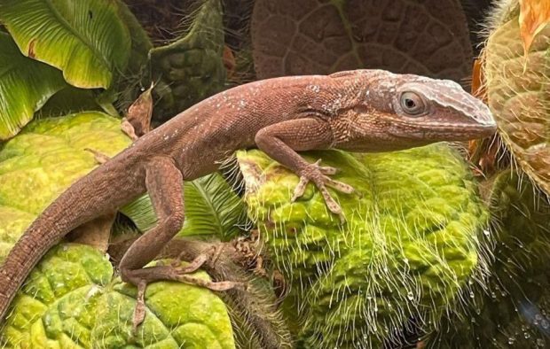 48c5b014df1f2512cc0aae1d172c6d7d