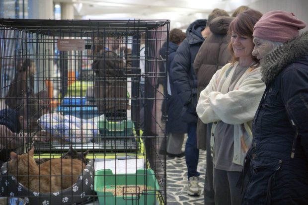 6a851a2df76ec43a060fcebb70cd3789