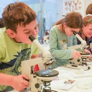 75c4befc7d2c4caa632e1bf23e6b984d