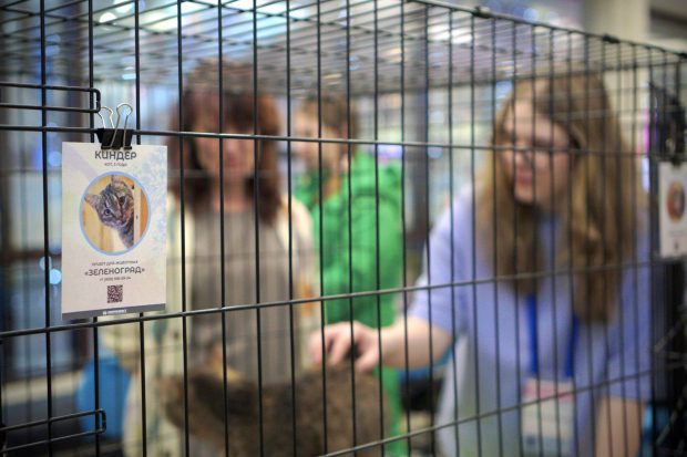 b0fc7a1a7418559d3d6b46074dec1e5a