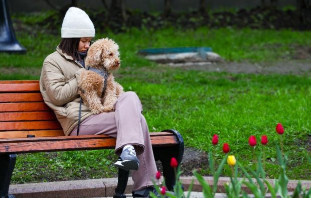 В Московском регионе ожидается аномальная жара в ближайшие дни 1 27013974d471758e71cb670cdd9f40da