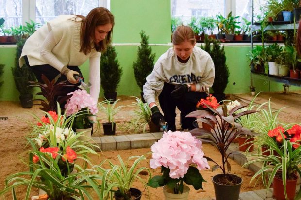 85aa86cfda6e2bf87cb253a384eafc1a