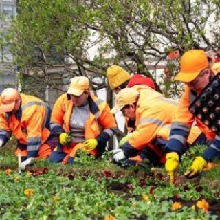 b8f70c6a631a0fea716c5bce2f3c0afc