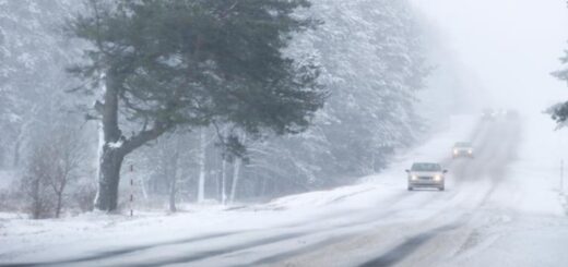 d2a5b466b05a0720cd7428106e25da2e