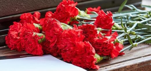 d8a4609a4f63901dd5f9bd53f4458452