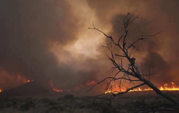 e4de059dfc5b8f8a84e012f40a169201