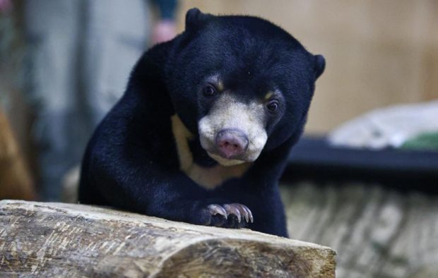 0d0c59298a1ed722c1525595baf36eb1