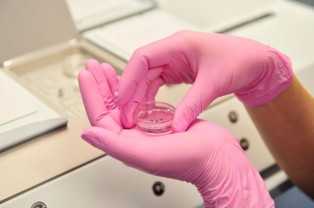 3d85f690ccff748f15d313f024e4a963