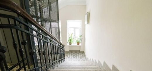 501dc926b7278997a1c9b6af6423b473