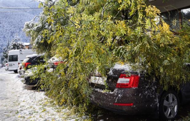 96efdcca014a3ce3f3c32b17cbdcb6a5