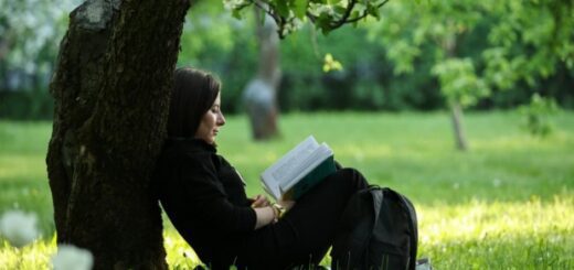 de85a35ef28352fbe8486c91a08819eb