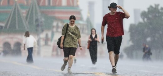 1b8d9020ea4bf687ab1328399d5d6853