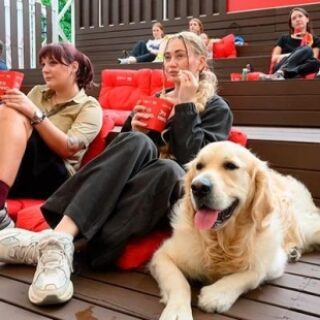 2bf05e2aea42c32cf15bee9b3106dbeb