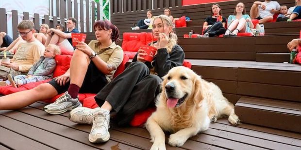 2bf05e2aea42c32cf15bee9b3106dbeb