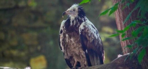 c76989cc3e87cb00a554af85bd741c8d