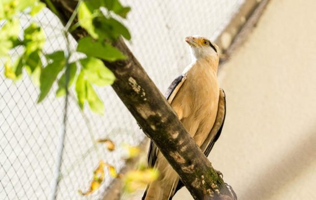 f371c9ab4d0fdf796cbe8ca8db90fdb9