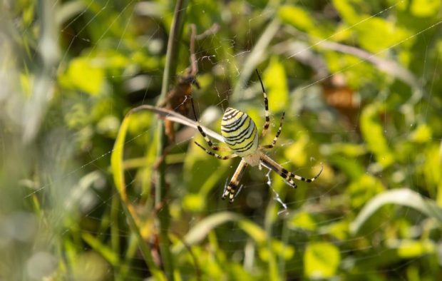 771bfe317b583a8b0866499cb9c58808