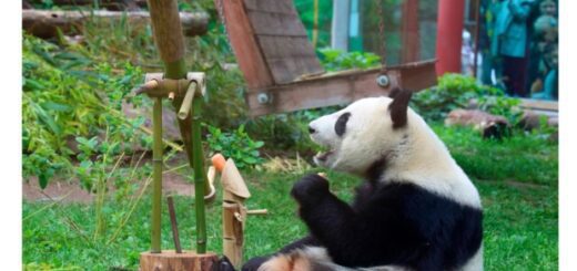 7a0266620612a44f7bcb6b927058ea9e