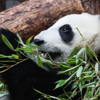 cd06167960d688f00caf8476d666fd73