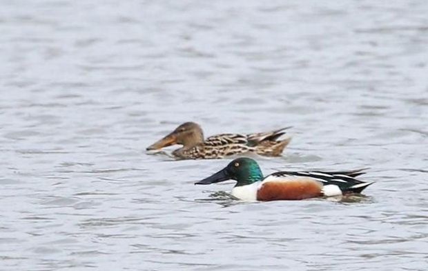 daf310f04c8e793bf0b57624252bbb3d