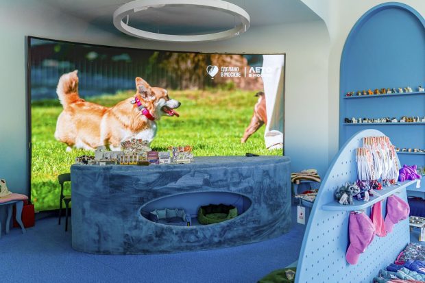 1d523f6e1df55cd80a009ba816686dfb