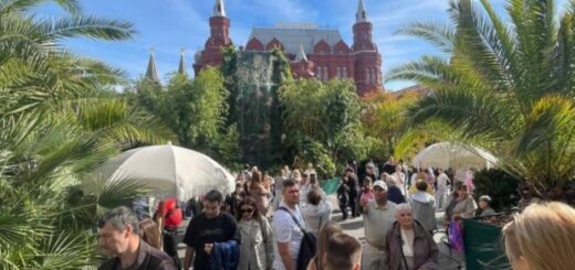 812ad3db1188521f3102f00ab0b0347f