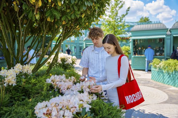 c15ce7fa2a1b028729eed1b8f4193a37