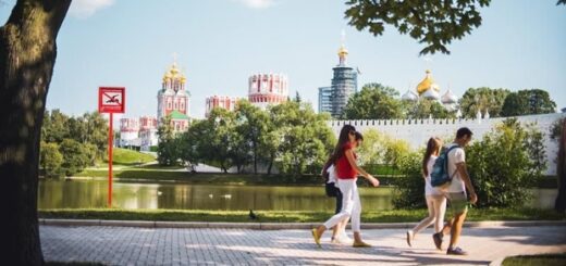 cd6ec43b7ed1e4d7e3d2911e987e144d