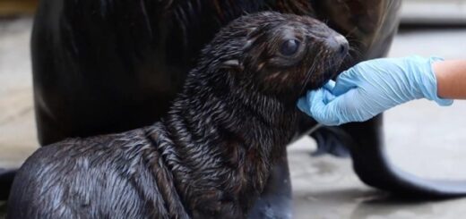 d8ddb1081f636b887fa07d30703585f2