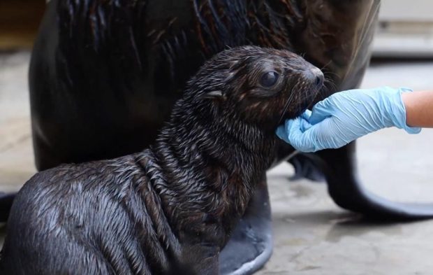 d8ddb1081f636b887fa07d30703585f2