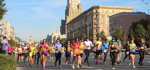 e99ff9b1bed6c4d85f82f75278f526a1