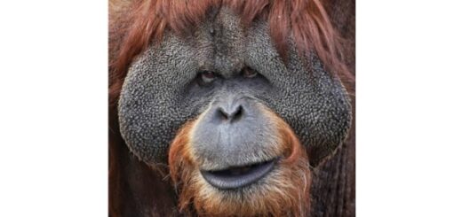 ed4b0170c1521ea91ac52c41aa94f895