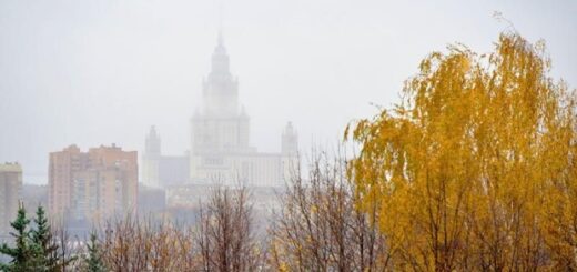 e3056ff22f5ddf655da173583d84543c