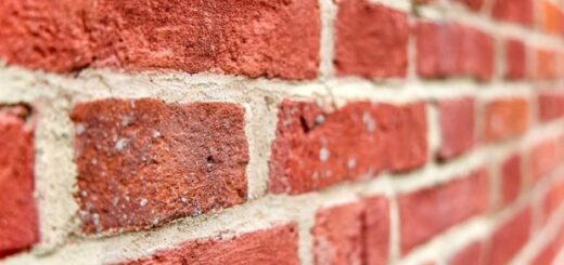 1954b6720bbf43b39d1423e7bf4a7662