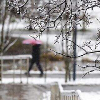 31de0dda9159a6bbdbe323c2b2a673fd