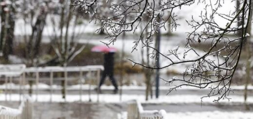 31de0dda9159a6bbdbe323c2b2a673fd