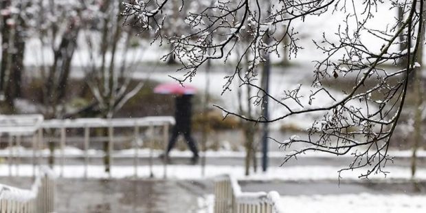 31de0dda9159a6bbdbe323c2b2a673fd