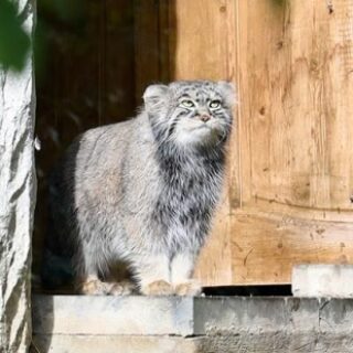 3f23030bbc44a45aa5bfd950078c0e62