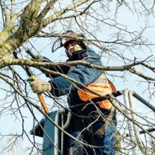 811f7a6a9ec3ee10f28caeb558127f66