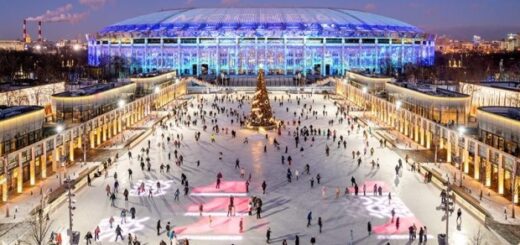 1d3bd2b3835087a74a84de5dc5bc6ea0