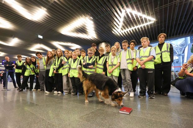 43317685e927a9a44857676e56cd55c3