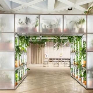 82b77adceecdab7203434d213ce5b981