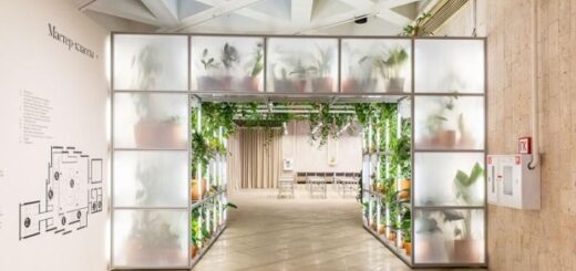 82b77adceecdab7203434d213ce5b981