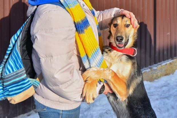 b26e5e67f46b1d5a63394bcee127c18a