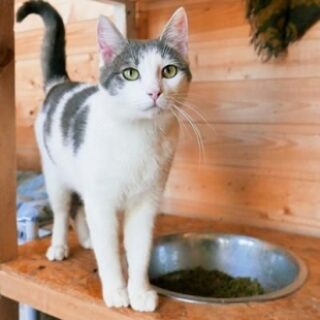 b7a91895247d44ad0965ce56483c0c90