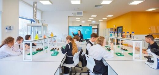 c10404b61d70d3fb99409f7fa6fea31e