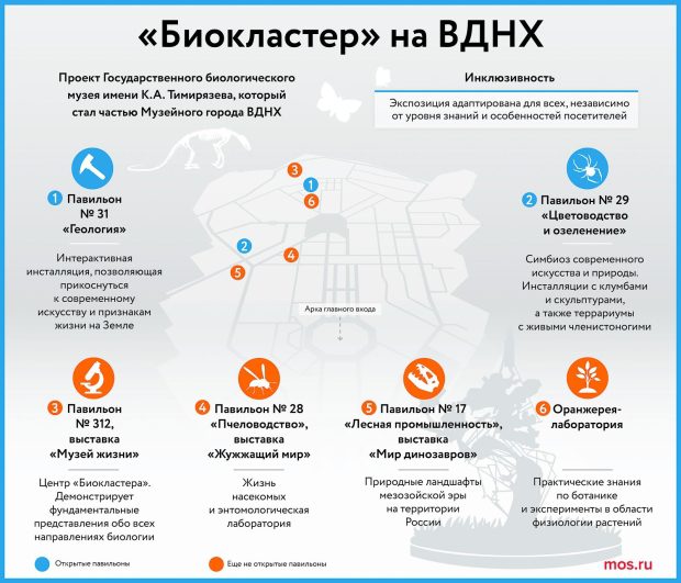 В «Биокластере» пройдут интерактивные занятия для людей с особенностями здоровья 4 de3cc5c8b0ef557e5350f1c9b795cb23