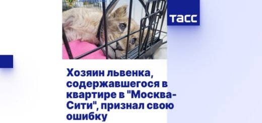 e2d95a4e17982bf73d27514ca019ca29